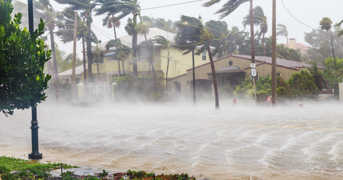 Category 5 Hurricane Proof Windows: Impact Resistance &amp; Survival 